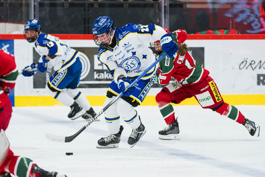 Leksands Shay Maloney