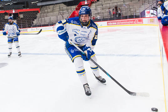 Leksands Saga Tynell-Nissas