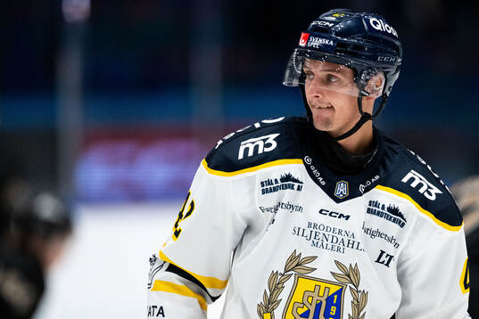 Södertäljes Ludvig Hedström