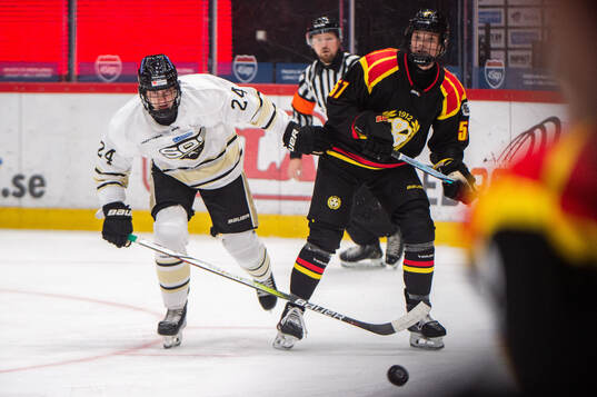 SDEs Mimmi Gill och Brynäs Maja Ålenius