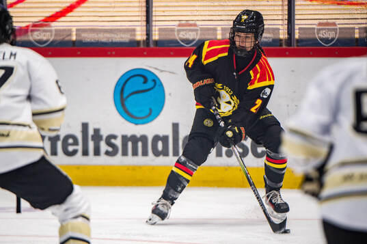 Brynäs Sara Cajanova