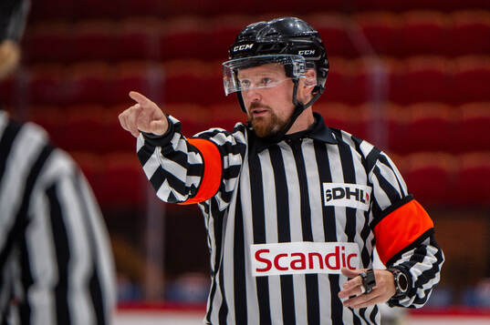 Domare Andreas Elfvengren