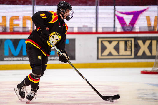 Brynäs Maja Ålenius