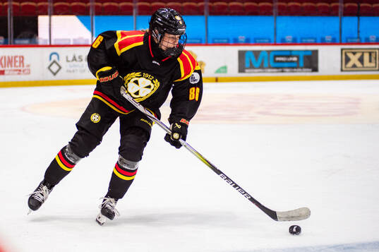 Brynäs Sanni Vanhanen