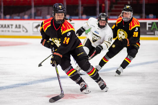 Brynäs Sara Cajanova