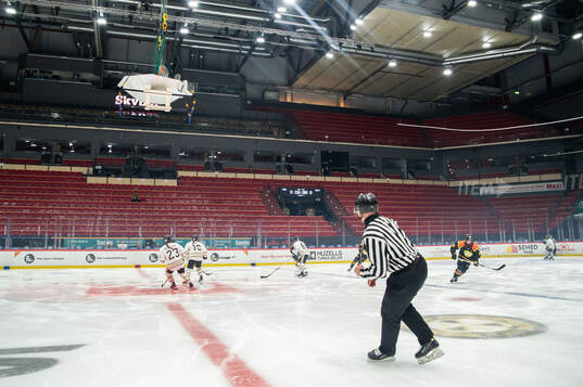 Monitor ERP Arena