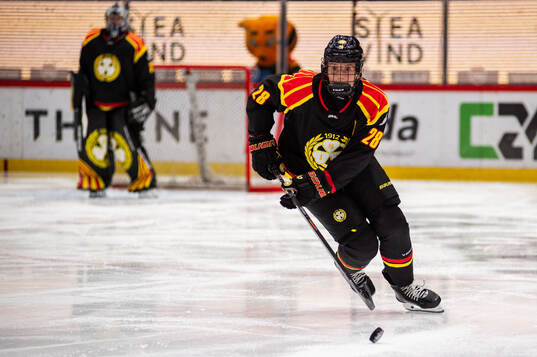 Brynäs Jenny Antonsson