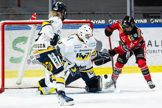 HV71s målvakt Viktorie Svejdova och Luleås Viivi Vainikka