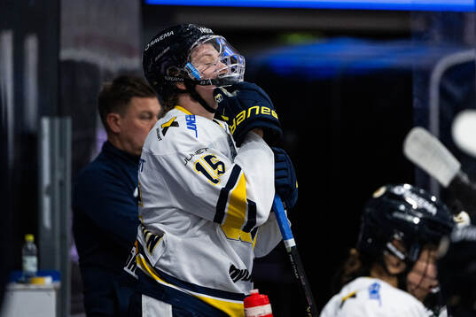 HV71s Jessica Adolfsson deppar