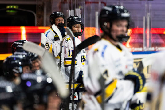 HV71s Alva Solberg deppar