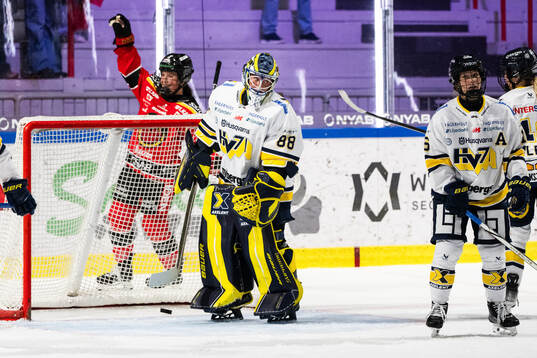 HV71s målvakt Lina Van Noort deppar