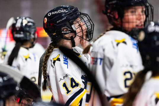 HV71s Evelina Arvidsson deppar