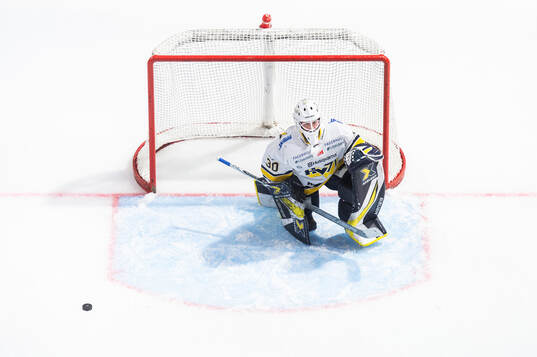 HV71s målvakt Viktorie Svejdova deppar