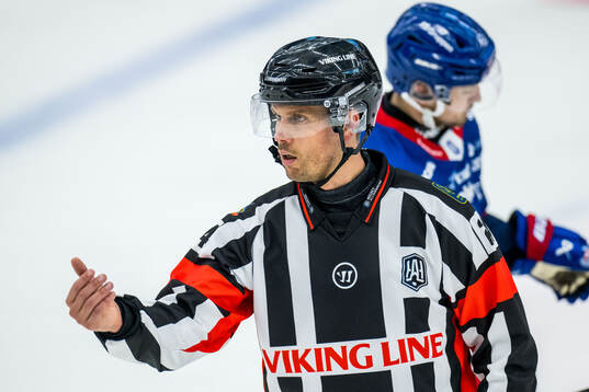 Domare Johan Magnusson