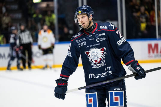 Linköpings Christoffer Ehn deppar
