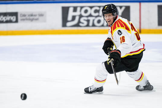 Brynäs Linus Ölund