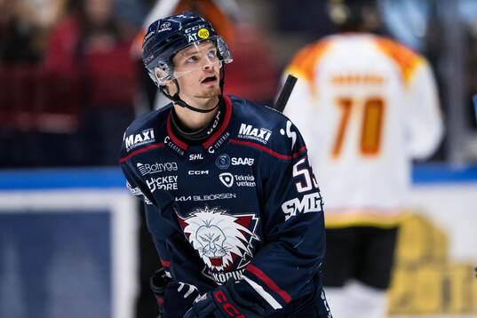 Linköpings Adam Hofbauer