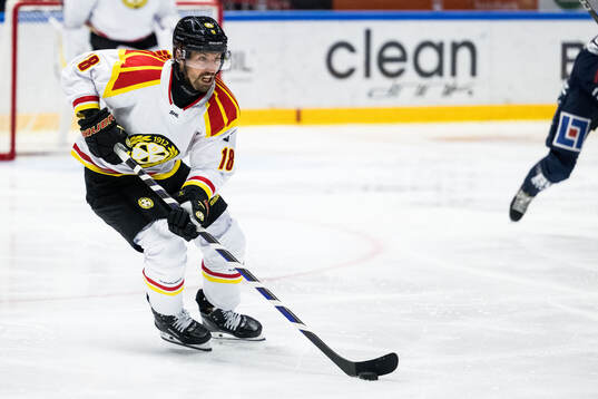 Brynäs Anton Rödin