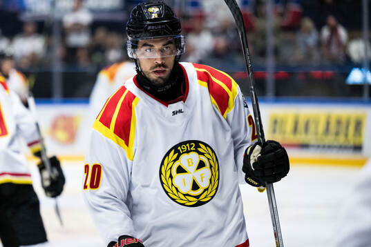 Brynäs Tyler Vesel