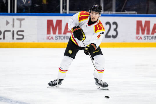 Brynäs Theo Lindstein