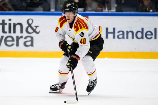 Brynäs Anton Ohlsson