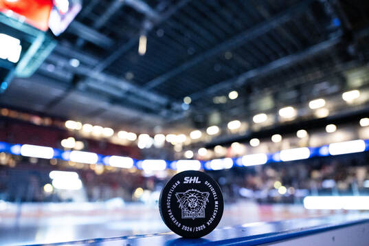 En officiell matchpuck