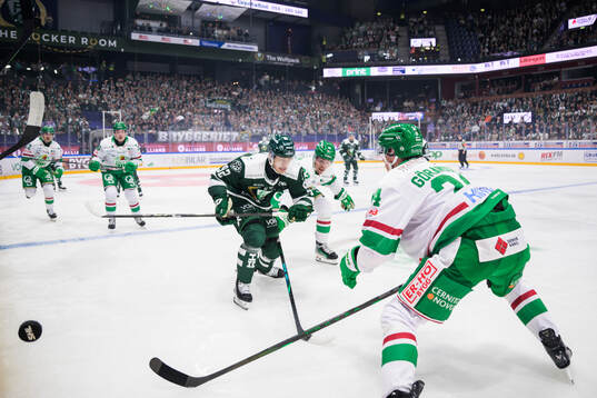 Färjestads Lucas Forsell och Rögles Albin Sundsvik