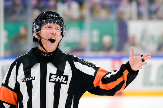 Domare Mikael Holm