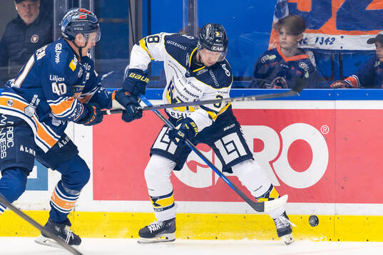 HV71s Olle Alsing