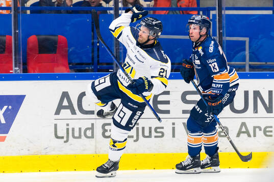 HV71s Mattias Tedenby jublar
