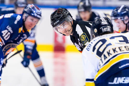 Domare Kristoffer Folkstrand