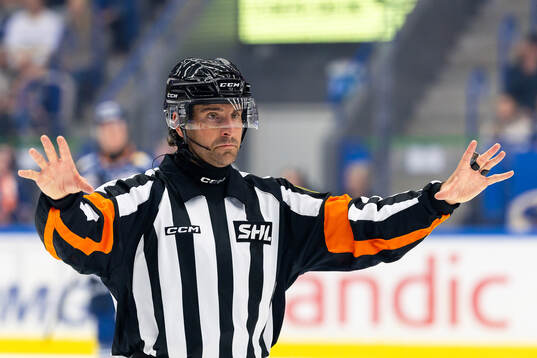 Domare Mikael Sjöqvist