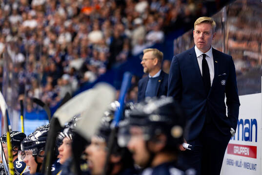 HV71s tränare Anton Blomqvist
