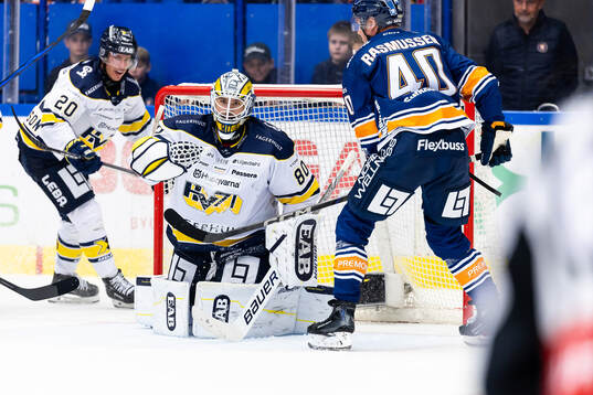 HV71s målvakt Frederik Dichow
