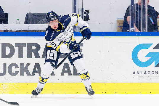 HV71s Wilhelm Hallquisth