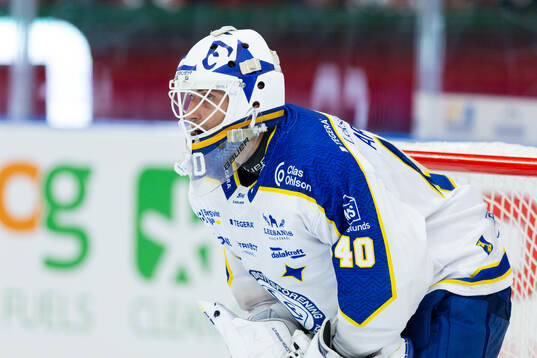 Leksands målvakt Mantas Armalis