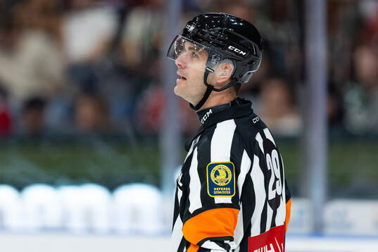 Domare Richard Magnusson