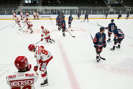Troja/Ljungbu och Halmstad spelarna