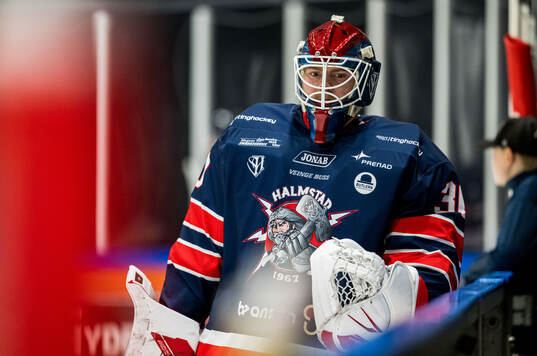 Halmstads målvakt Adam Ahnberg
