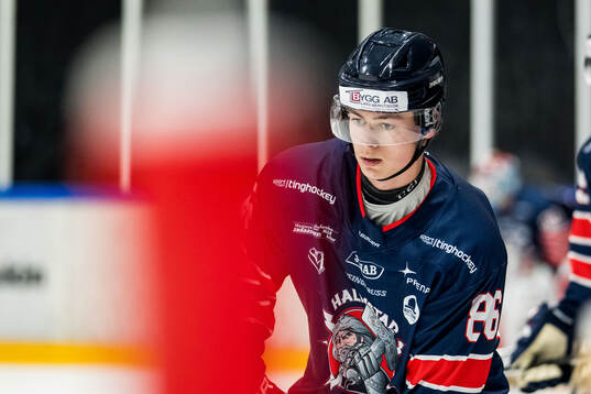 Halmstads Jakub Kanka