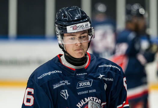 Halmstads Jakub Kanka deppar
