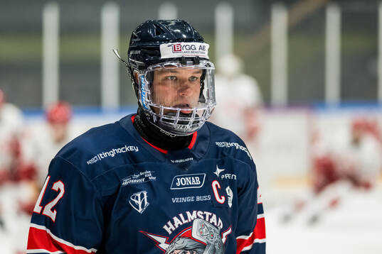 Halmstads Robin Dahse