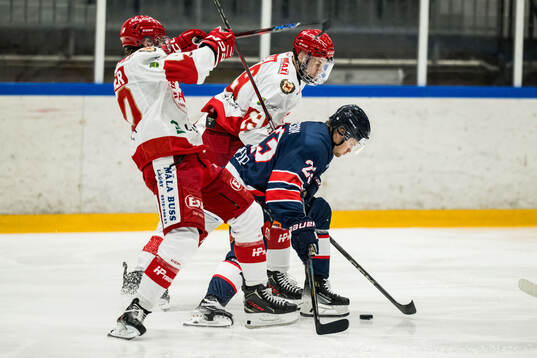Halmstads Alexander Artursson