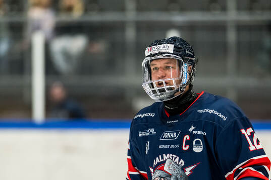 Halmstads Robin Dahse