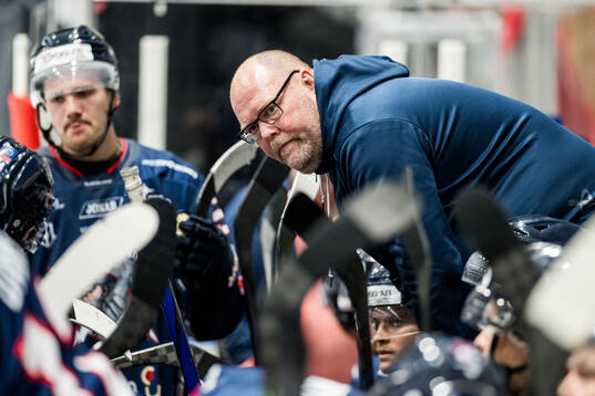 Halmstads tränare Jens Berggard