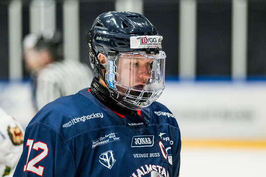 Halmstads Robin Dahse deppar