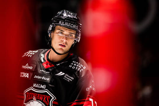 Malmö Redhawks Nikola Pasic
