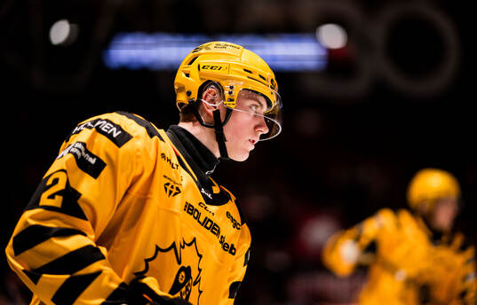 Skellefteås Leo Sundqvist