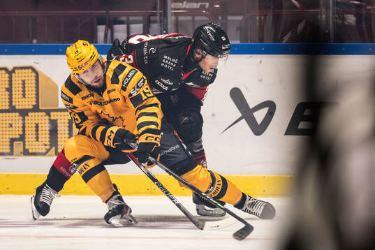 Skellefteås Martins Dzierkals och Malmö Redhawks