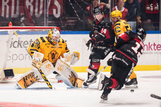 Skellefteås målvakt Gustaf Lindvall och Malmö Redhawks